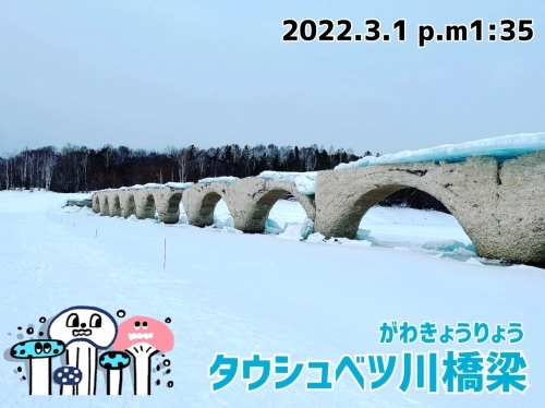 【幻の橋】FATBIKEで糠平湖氷上サイクリングしてきました！_d0197762_12140302.jpg