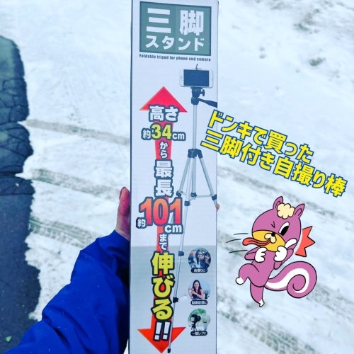 【幻の橋】FATBIKEで糠平湖氷上サイクリングしてきました！_d0197762_12145456.jpg