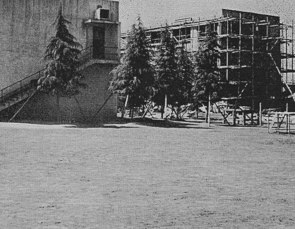 埼玉県羽生市立手子林小学校(建築家・関根要太郎作品研究)_f0142606_19030311.jpg