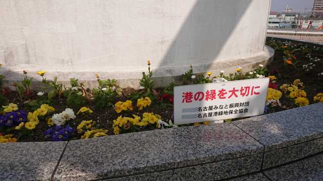 名古屋港水族館前花壇の植栽R4.3.2_d0338682_08023241.jpg