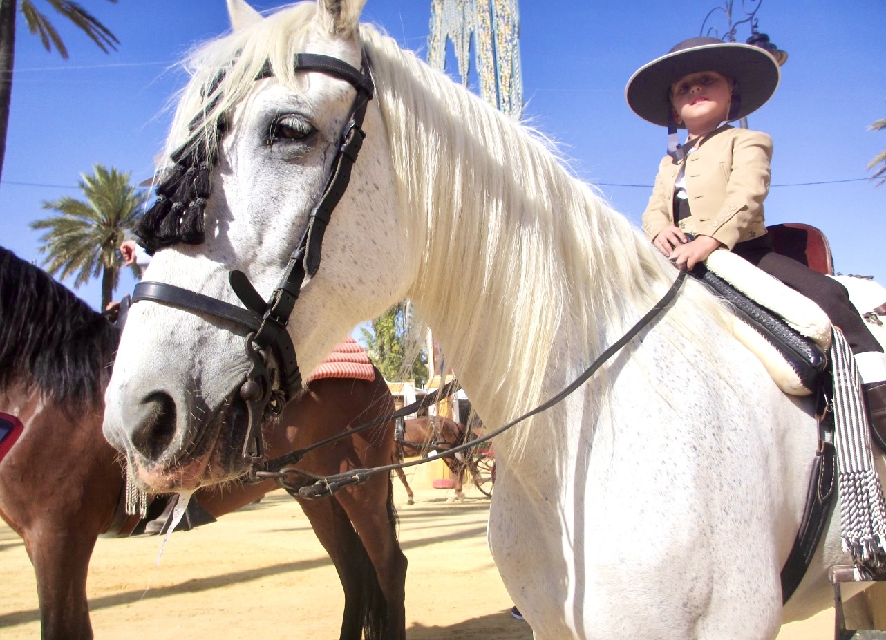Jerez(Spain)馬祭りの思い出動画*馬とシェリーとフラメンコ*_c0212604_20253453.jpeg