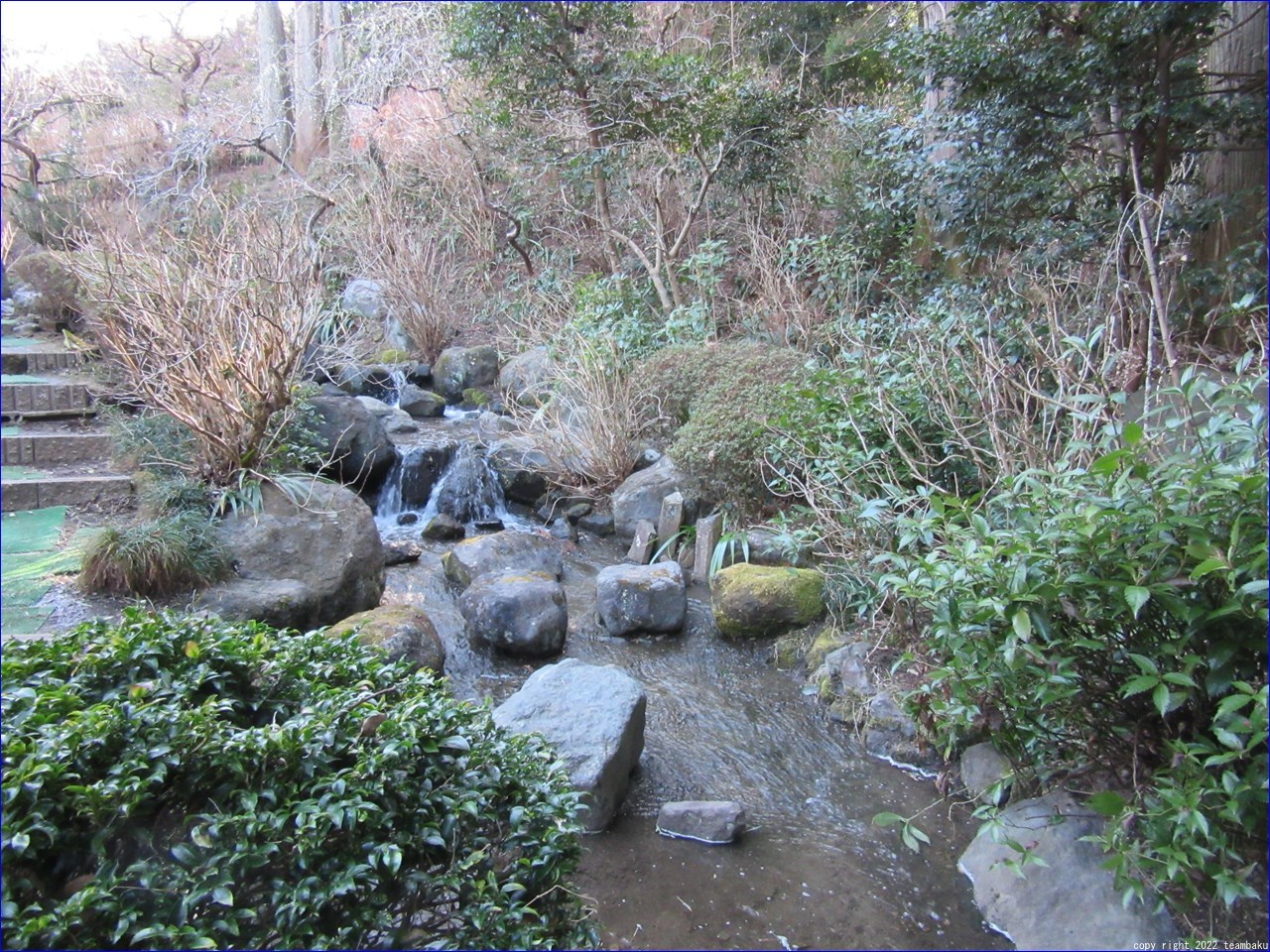 桃の節句に府八幡宮と龍尾神社 花庭園_c0376508_06445366.jpg