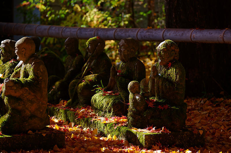 2021年京都の紅葉＠修学院　赤山禅院_f0032011_19103384.jpg