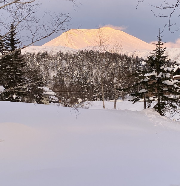 2022年1月、2月『バックカントリースキー in 北海道』　Jan - Feb 2022 \"Backcountry Skiing in Hokkaido\"_c0219616_16495950.jpg