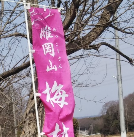 梅の香りに誘われて里山を歩く 『雄岡山・雌岡山』_c0218841_19422851.jpg