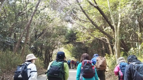 梅の香りに誘われて里山を歩く 『雄岡山・雌岡山』_c0218841_19442842.jpg