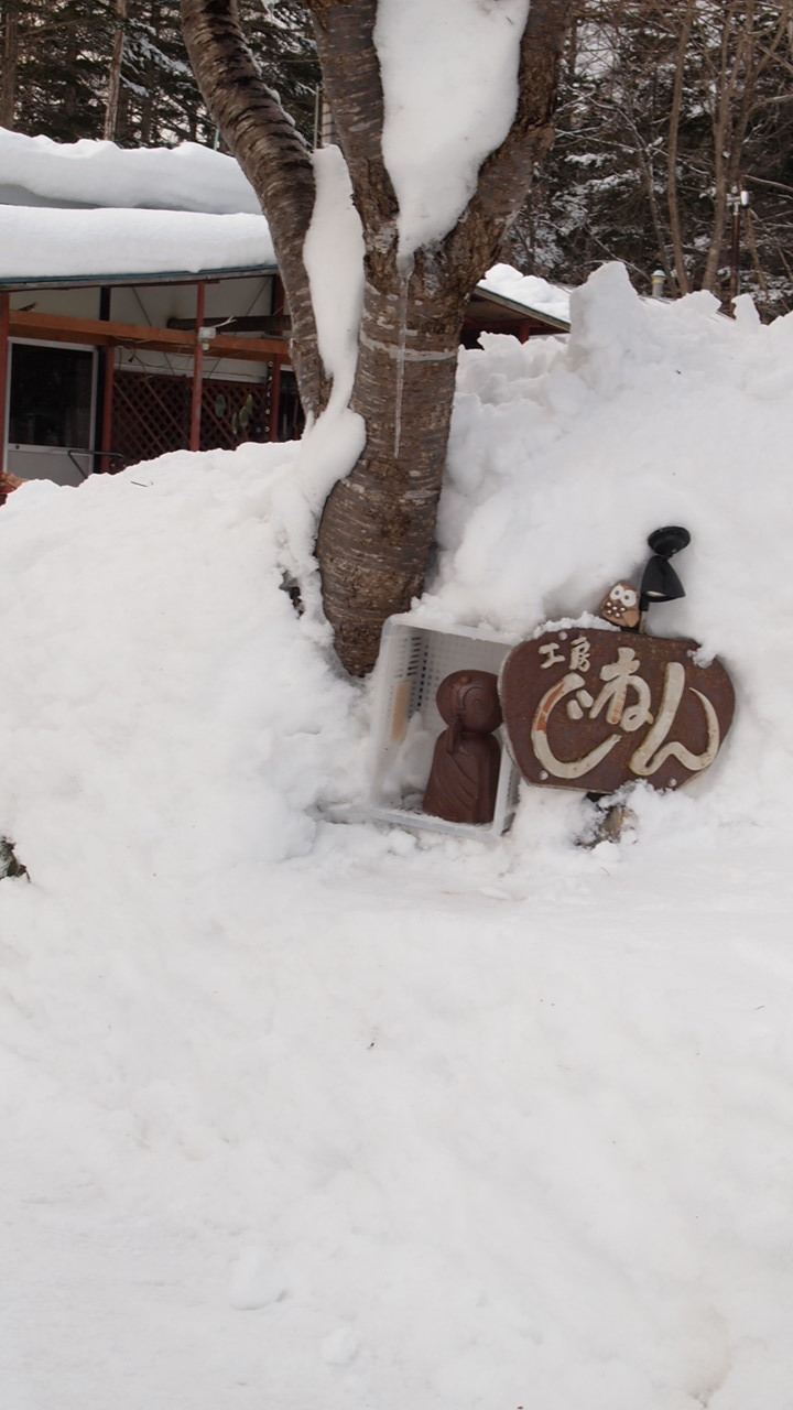 除雪と散歩の日々_b0343293_21160863.jpg