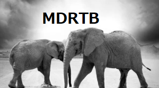 MDR-END試験：キノロン感受性MDRTBに対する9か月のデラマニド＋リネゾリド＋レボフロキサシン＋ピラジナミドレジメン_e0156318_10405712.png