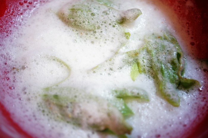 ■季節料理【サクサクパリッと!蕗の薹の白扇揚げ】畑でフキノトウを摘んで来ました♪_b0033423_08145004.jpg