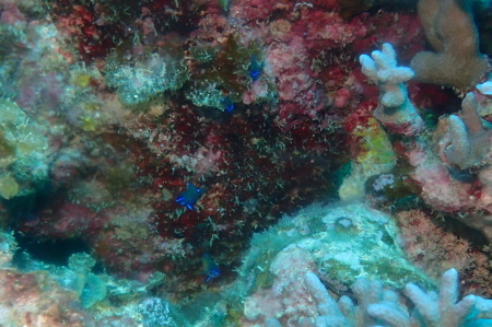 22.3.6 ビューティフルサンデー_b0100730_20153539.jpg