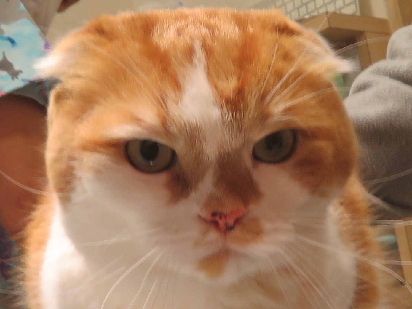 3 月 6 日の写真_c0174644_17143869.jpg