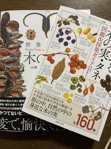 ワクワクの木の実図鑑たち おのひきだし