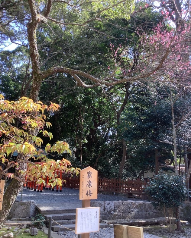 久能山東照宮in静岡_a0129492_22571924.jpeg