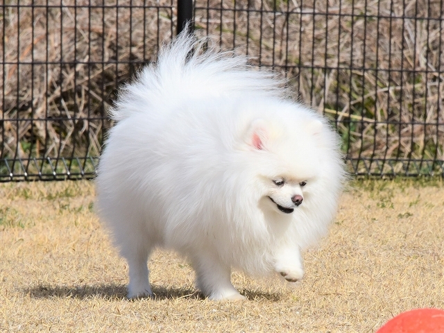 いまだ健在_d0360206_20013910.jpg