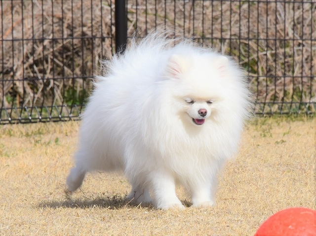 いまだ健在_d0360206_20013938.jpg