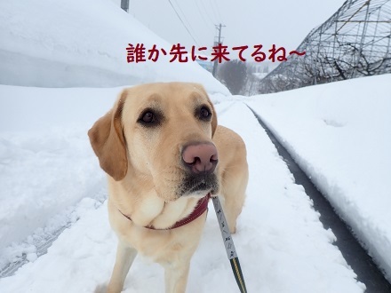 当たり前の日常が戻った月曜日。_c0182012_11362811.jpg