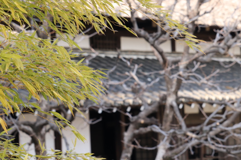 足立区移築された「古民家の室内」紹介です。_a0214329_11303319.jpg