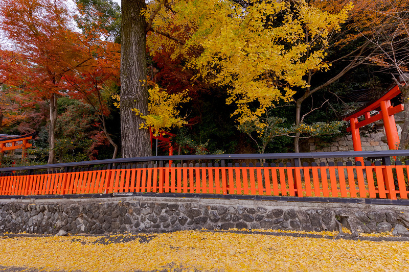 2021紅葉輝く京都　晩秋・山崎聖天（観音寺）_f0155048_21124099.jpg