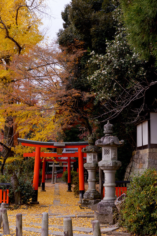 2021紅葉輝く京都　晩秋・山崎聖天（観音寺）_f0155048_21130716.jpg