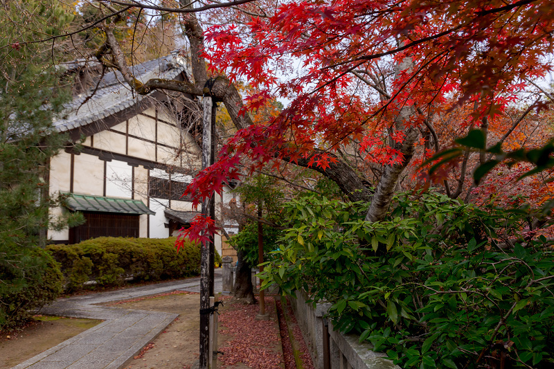 2021紅葉輝く京都　晩秋・山崎聖天（観音寺）_f0155048_21185614.jpg