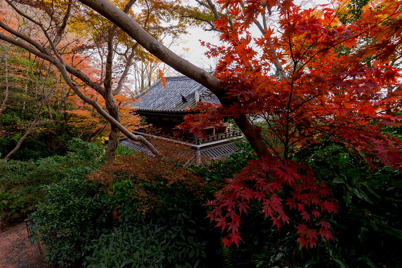 2021紅葉輝く京都　晩秋・山崎聖天（観音寺）_f0155048_21193311.jpg
