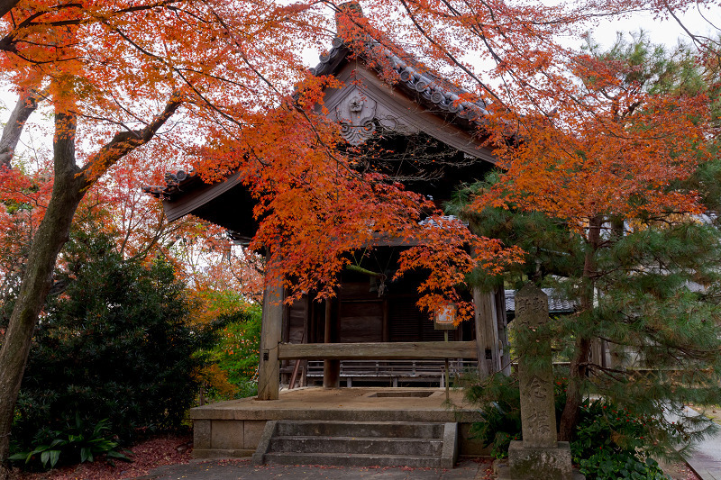 2021紅葉輝く京都　晩秋・山崎聖天（観音寺）_f0155048_21203212.jpg