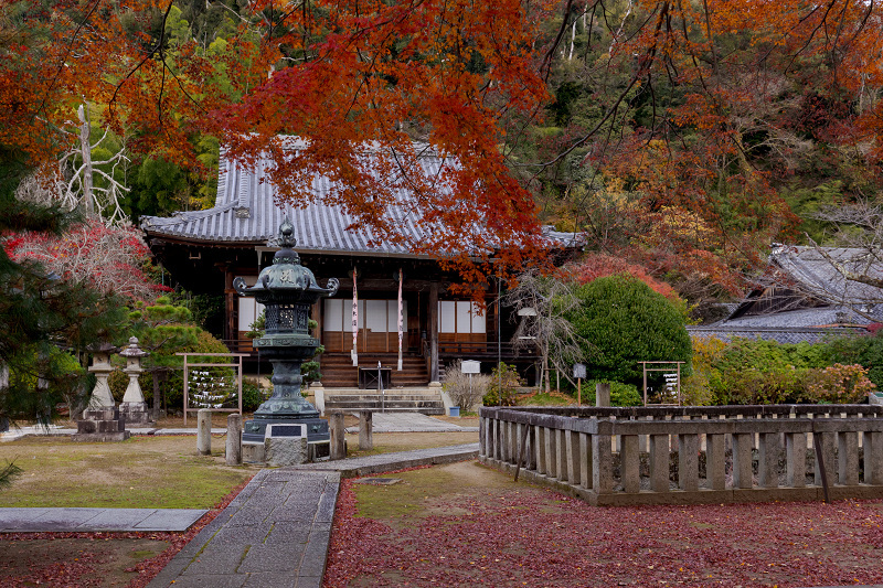2021紅葉輝く京都　晩秋・山崎聖天（観音寺）_f0155048_21205129.jpg