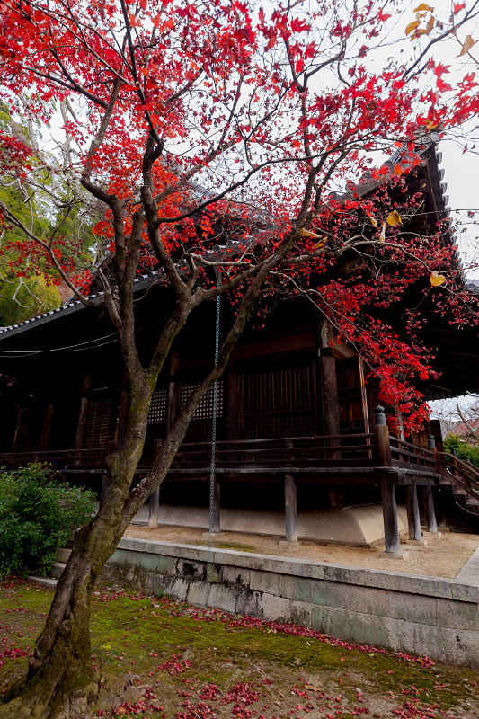 2021紅葉輝く京都　晩秋・山崎聖天（観音寺）_f0155048_21205556.jpg