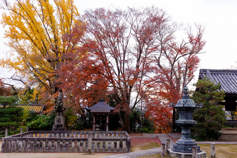 2021紅葉輝く京都　晩秋・山崎聖天（観音寺）_f0155048_21214386.jpg