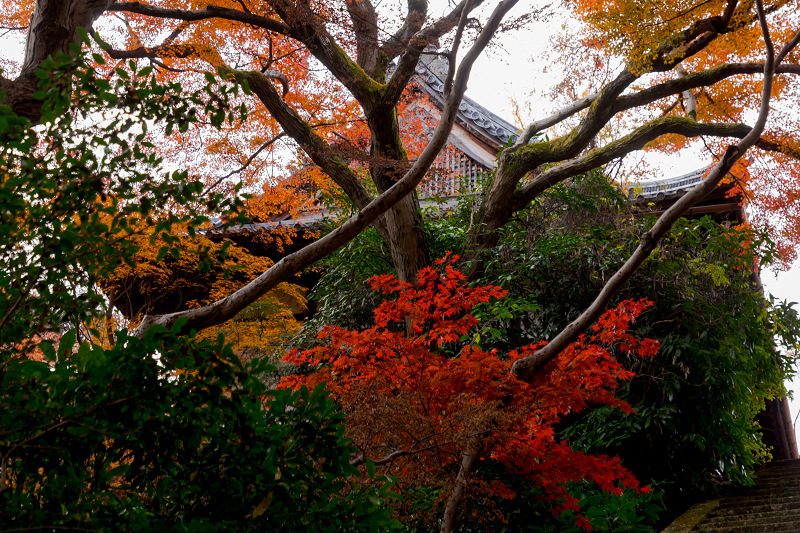2021紅葉輝く京都　晩秋・山崎聖天（観音寺）_f0155048_21225267.jpg