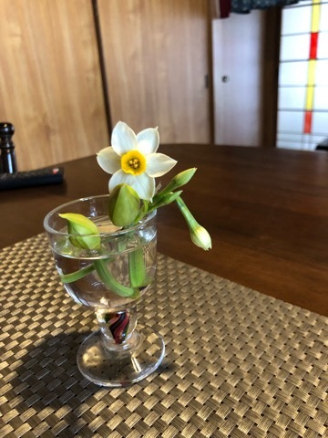 野良ねこ写真館_f0363168_16083298.jpeg