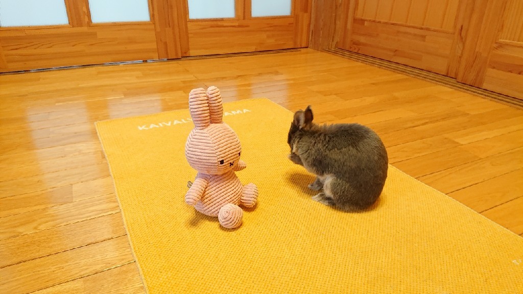 モモ色の卒業式***_e0290872_22203801.jpg