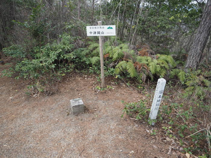 奥滝山ーロックガーデンー帆柱山縦走_c0116915_00590620.jpg
