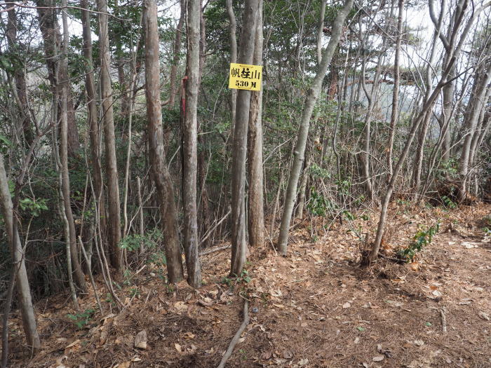 奥滝山ーロックガーデンー帆柱山縦走_c0116915_01005293.jpg