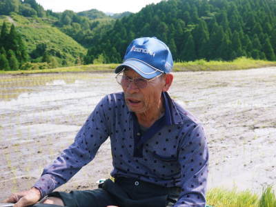 菊池水源棚田米 数量限定で追加入荷しました!豊かな森の清らかな水と手のかかる棚田ので育てたお米です!_a0254656_17403366.jpg