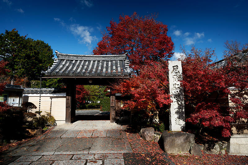 2021年京都の紅葉@西賀茂 神光院_f0032011_19433822.jpg