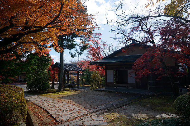 2021年京都の紅葉@西賀茂 神光院_f0032011_19463710.jpg