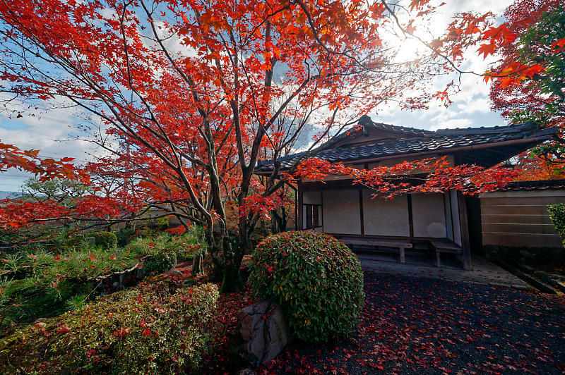 2021年京都の紅葉@西賀茂 神光院_f0032011_19463831.jpg