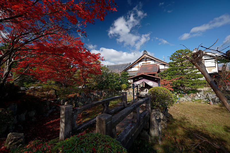 2021年京都の紅葉@西賀茂 神光院_f0032011_19463868.jpg