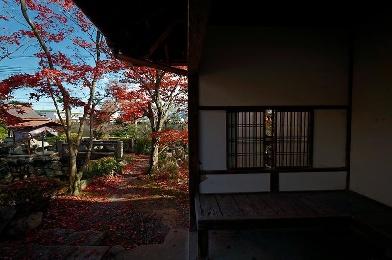 2021年京都の紅葉@西賀茂 神光院_f0032011_19463876.jpg