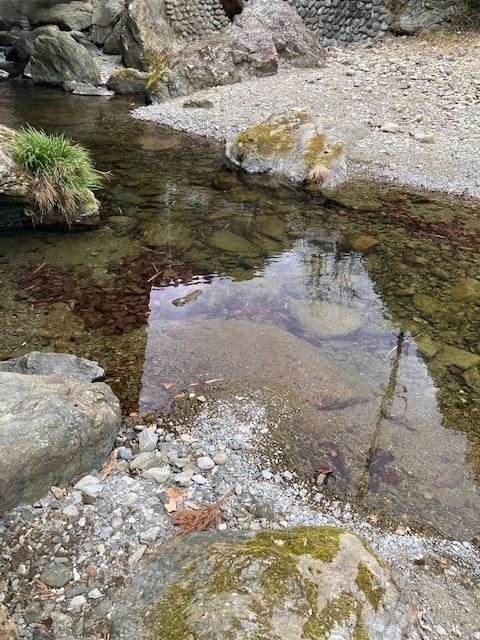 薄めの偏光レンズ_e0304942_13283909.jpg