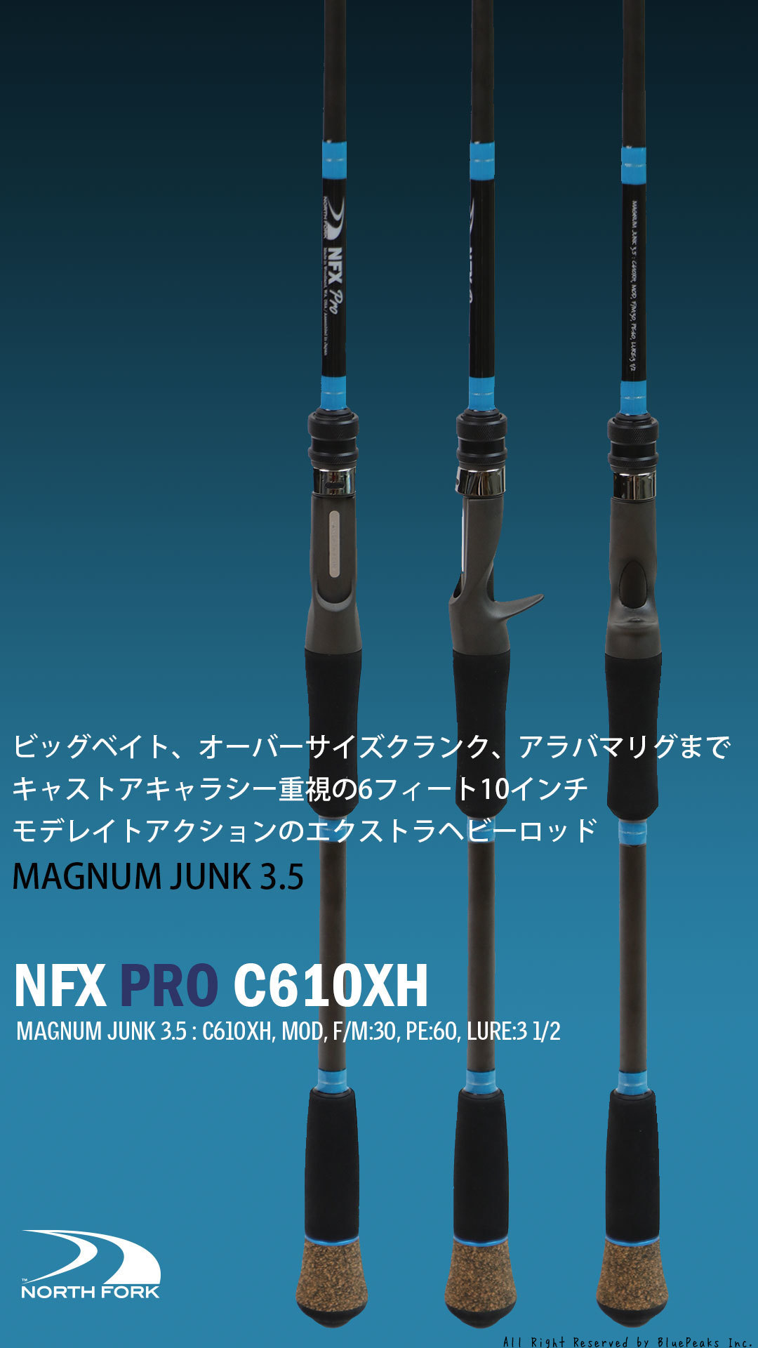 ノースフォークコンポジット NFX pro C65M+ - ロッド