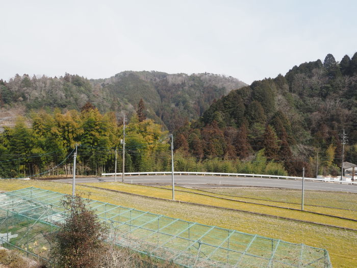 もやった晴れ_c0116915_23155120.jpg