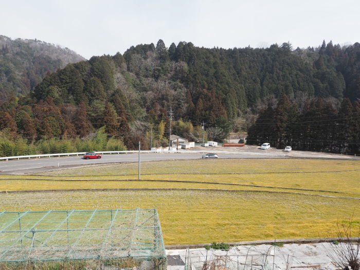 もやった晴れ_c0116915_23160768.jpg