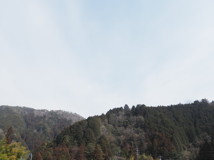 もやった晴れ_c0116915_23170081.jpg