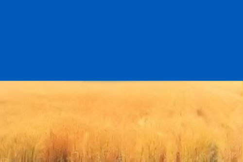 ウクライナに平和を_e0413146_20124366.jpg