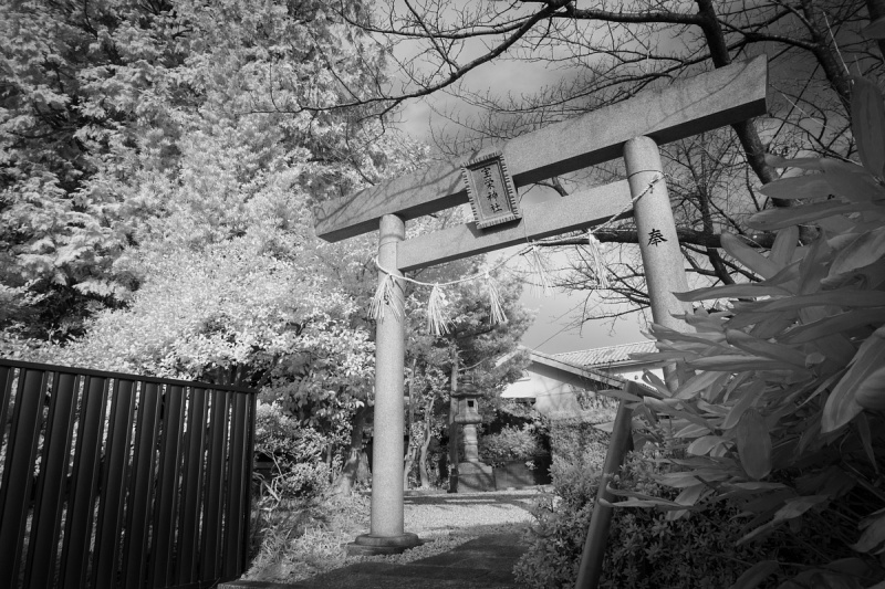 農耕に向かなかった開拓地の氏神さま - 宝栄神社_d0353489_16262513.jpg