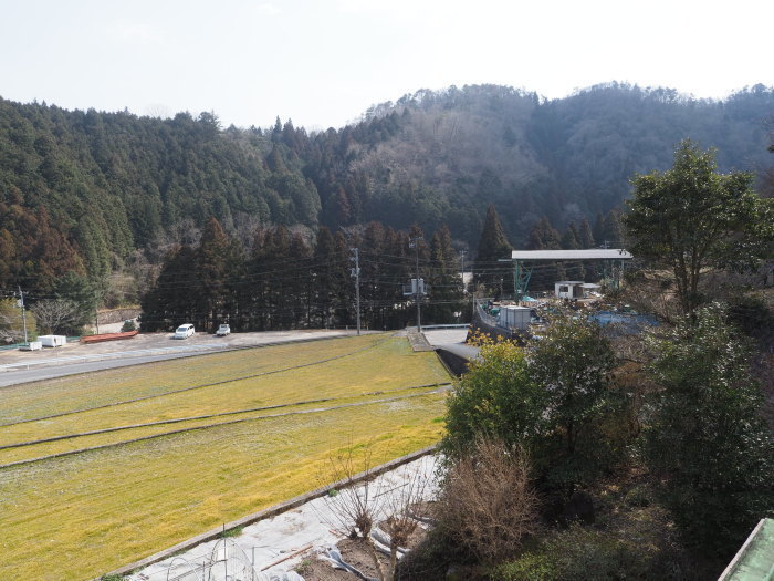 薄雲の晴れのち晴れ_c0116915_21463283.jpg