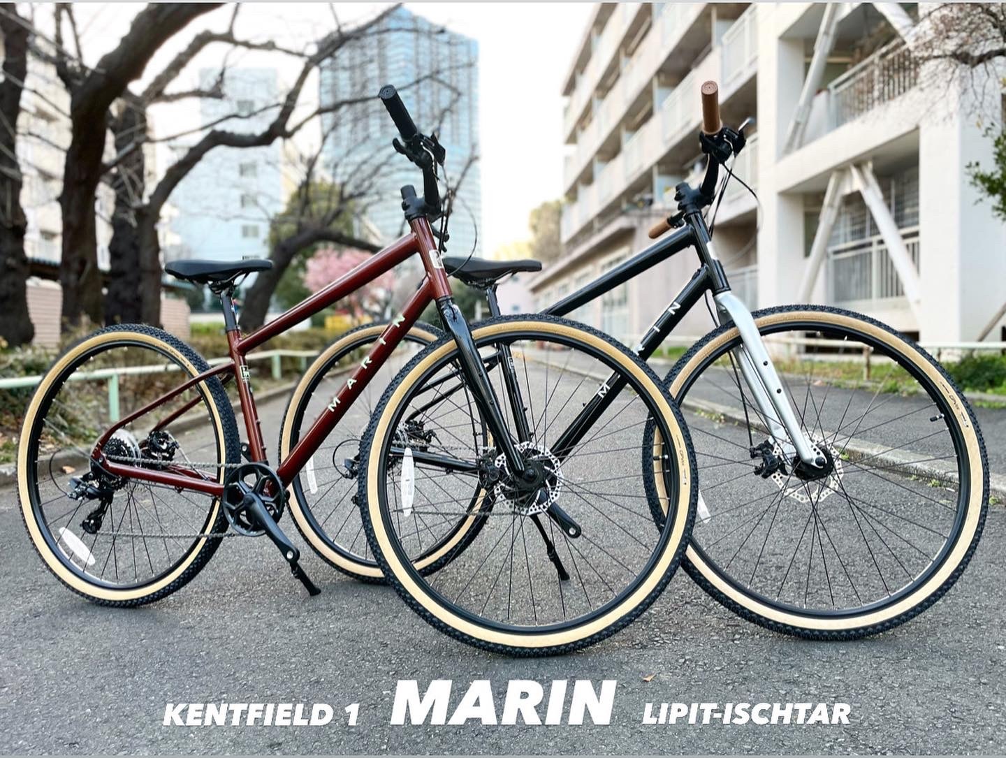 2022 MARIN「KENTFIELD 1」マリン ケントフィールド おしゃれ自転車