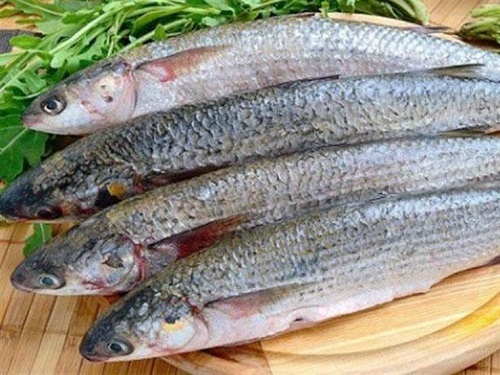 ルクソールで塩漬け醗酵魚を買ってみた フィシーフを食べる会のお誘い Kimcafeのｂ級グルメ旅